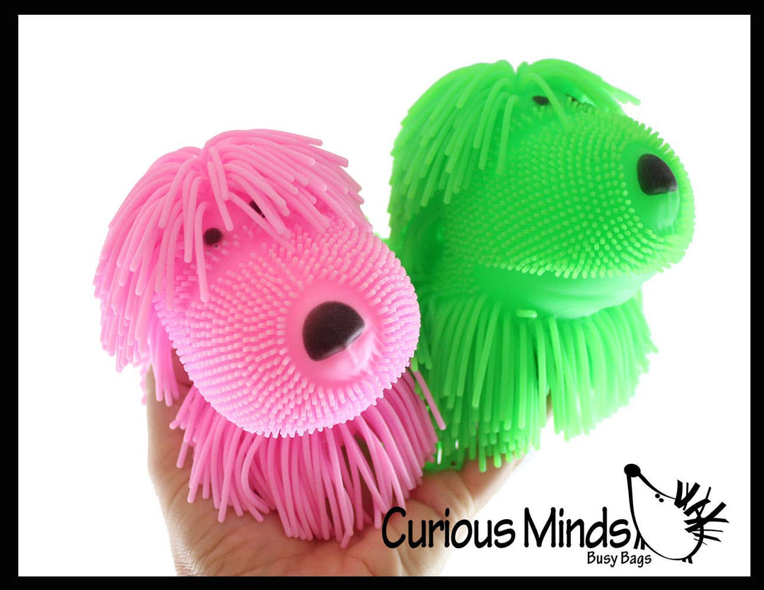 Shaggy Mop Dog Puffer Ball Squishies