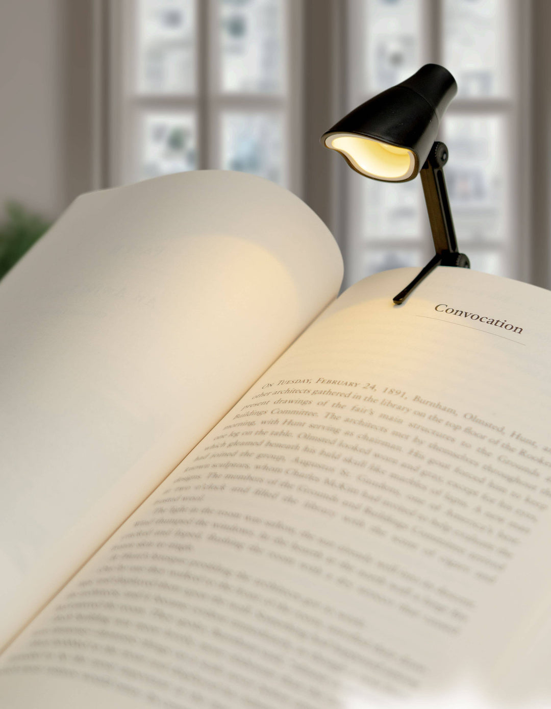 Task & Booklight Mini LED Lamp