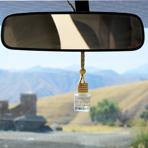 Twisted Tomboy Car Diffusers